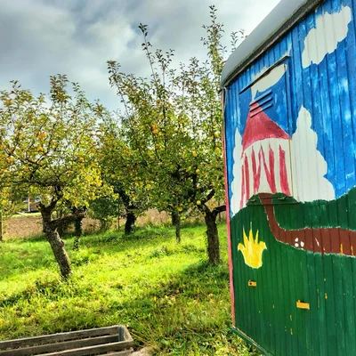 Eine Naturhecke für den Schulgarten
