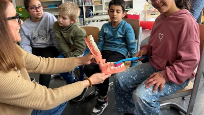 Faultiere und Delfine on tour!